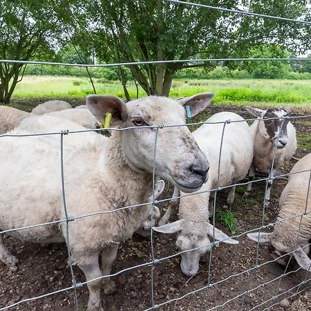 Creamery With Games And Free Parking * York